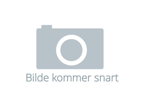 Forhåndsvisning
